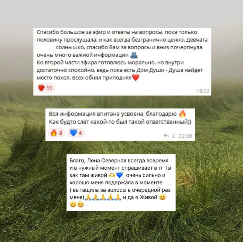 О поддержке, спокойствии и Доме Души